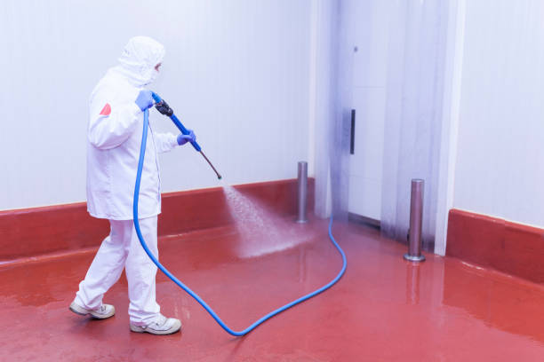 Best Commercial Pressure Washing in USA